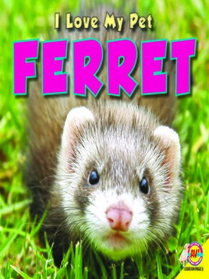 cover image of Ferret